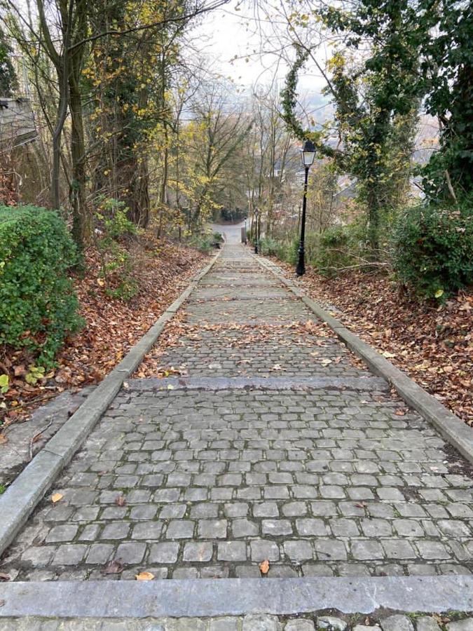 Vakantiewoning De Kassei Geraardsbergen Max 12Personen 외부 사진